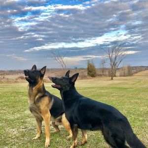 Meet your Posher, Lori